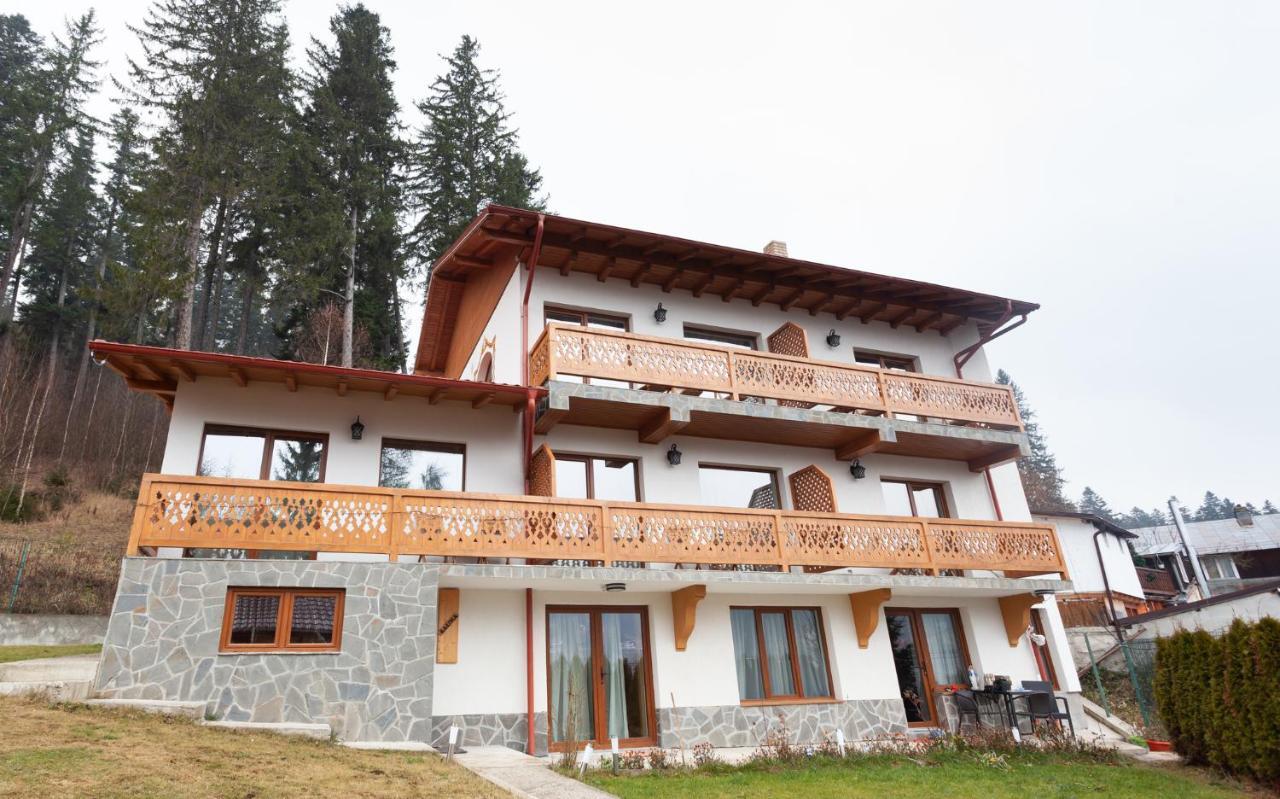 Casa Belcin Spa&Retreat Buşteni Εξωτερικό φωτογραφία
